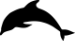Loan Tracking Token 